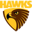Hawks Netball